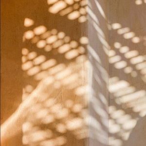 Meet your Posher, Gillian